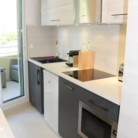 Le Petit Chic Luxury Monaco Studio Large Terrace Parking Appartement